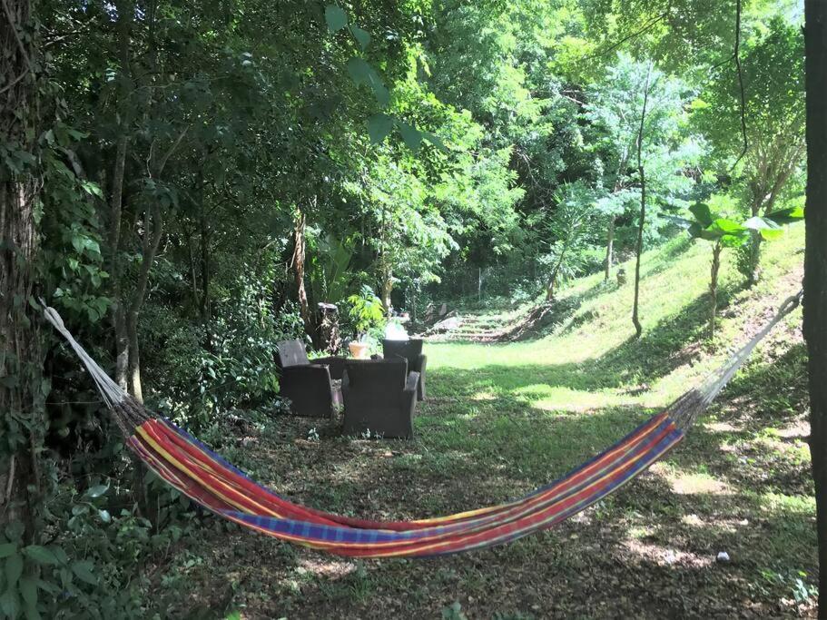 Appartement Colibri , Les Anses D 'Arlet Esterno foto
